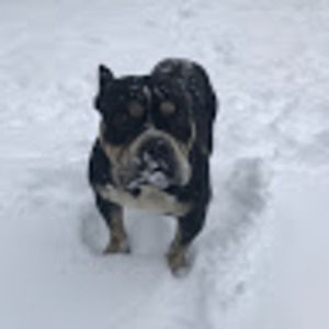 Meet your Posher, Daniel